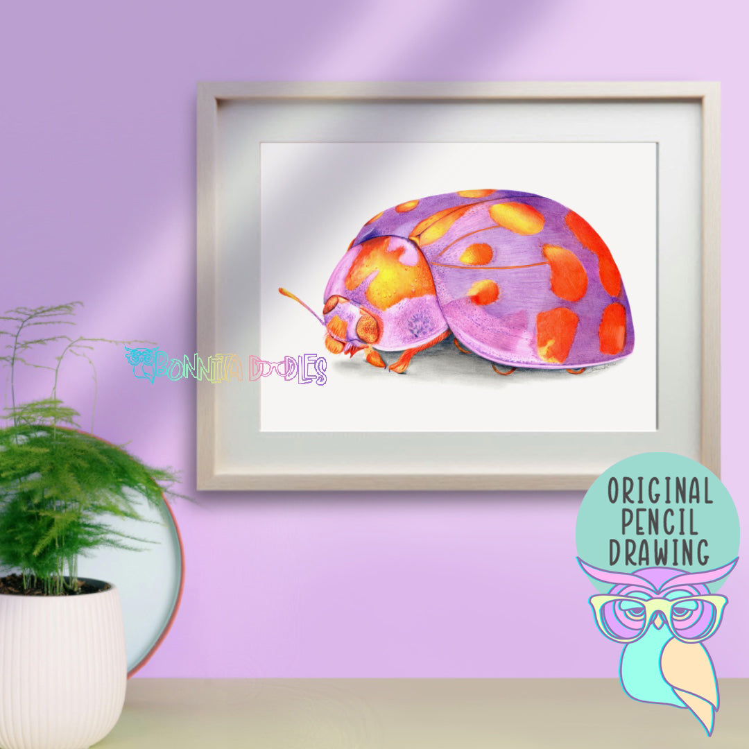 Amethyst | Ladybug | Original Drawing