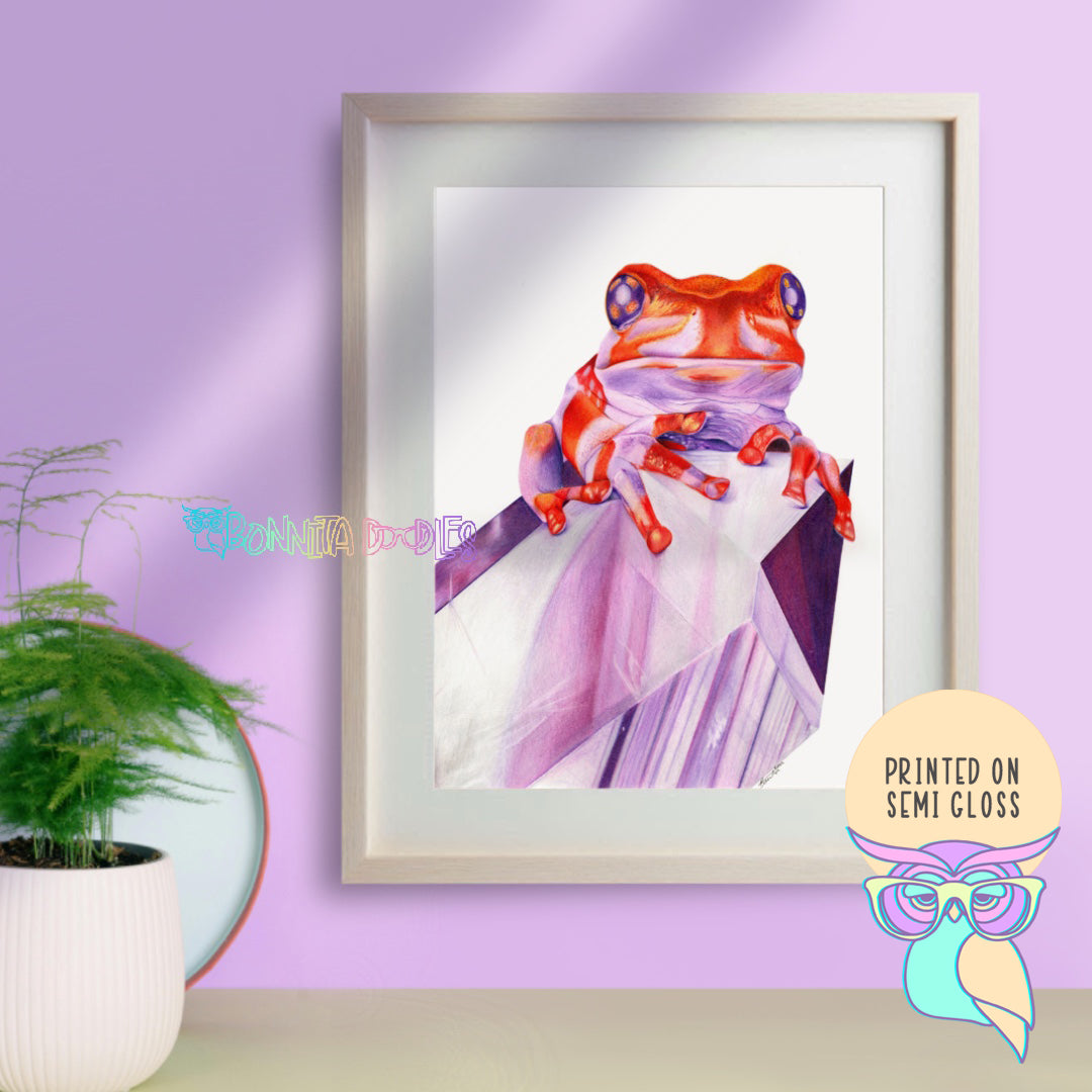 Art Print | Glass Frog | Amethyst