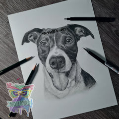 6x4 pet portrait commission