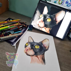 6x4 pet portrait commission