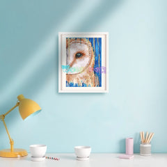 Barn Owl - A5