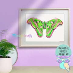 Peridot | Atlas Moth | Original Art