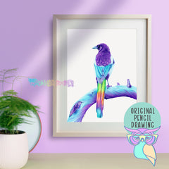 Sapphire | Magpie | Original Drawing