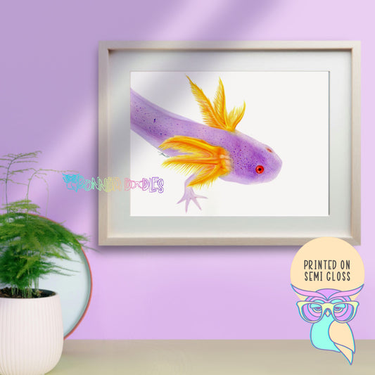 Art Print | Axolotl | Amethyst