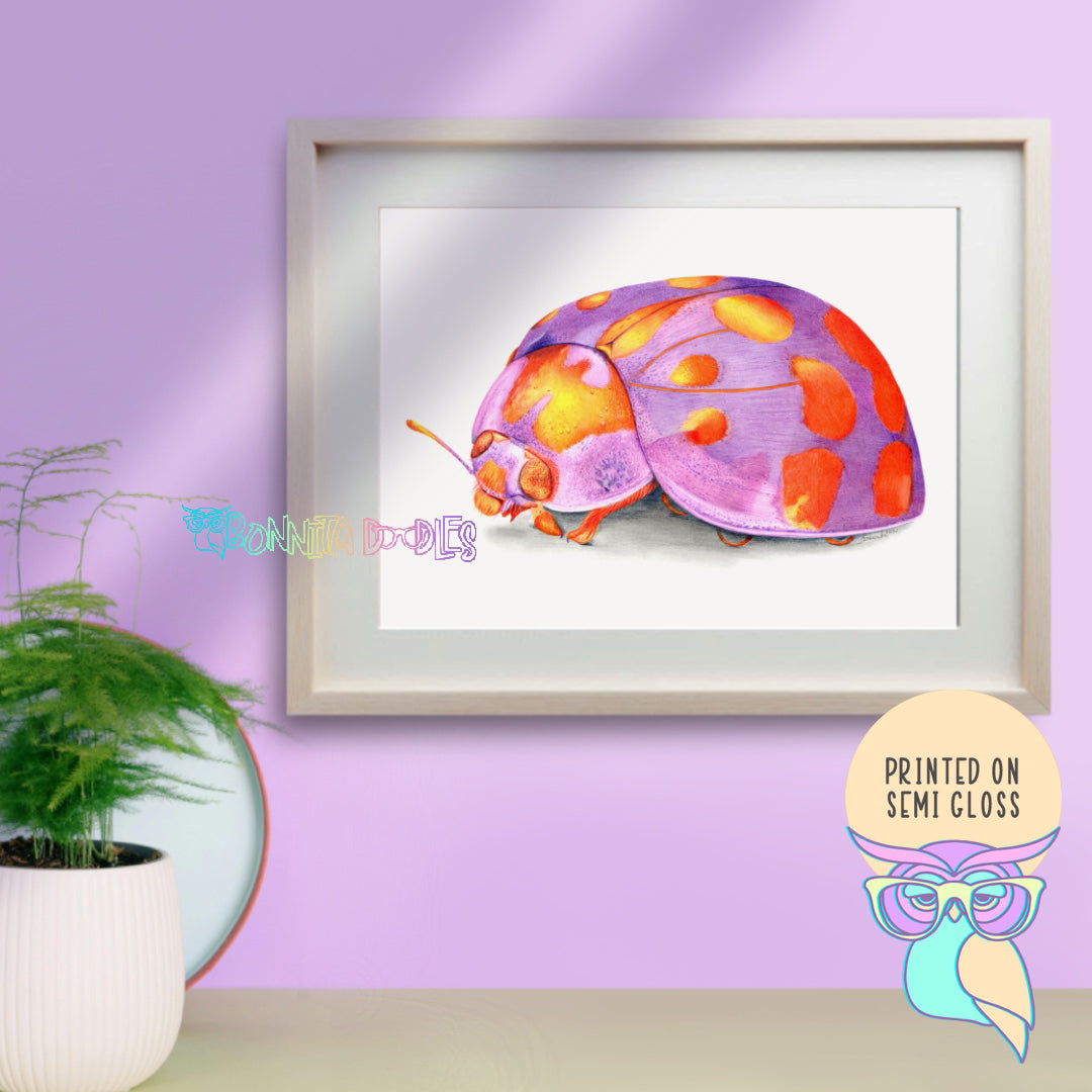 Art Print | Ladybug | Amethyst