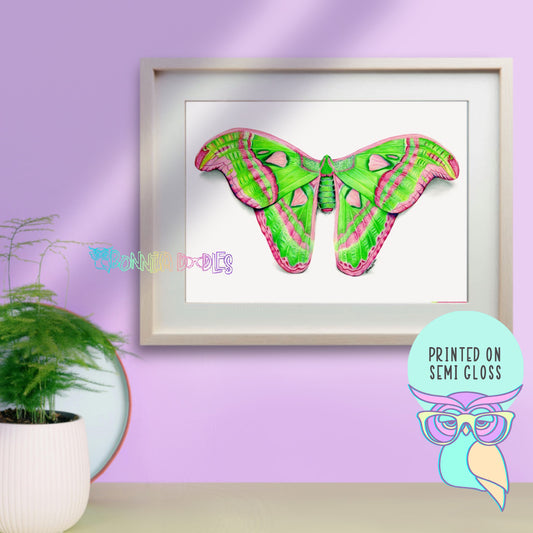 Art print | Atlas Moth | Peridot