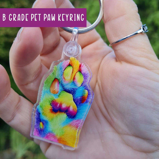 B grade rainbow pet paw - keychain