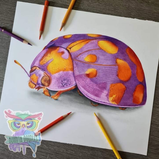Amethyst - Ladybug - Original drawing