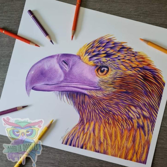 Amethyst - Stella Eagle - Original drawing