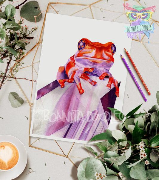 Amethyst - Frog - Original drawing