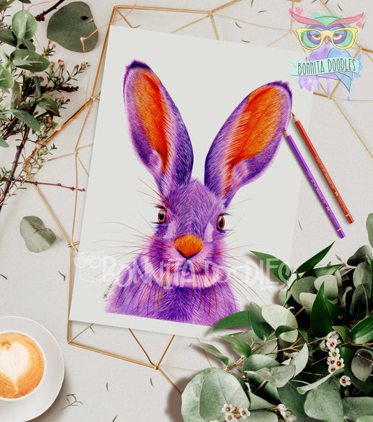 Amethyst - Hare - Original drawing