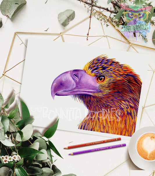 Amethyst - Stella Eagle - Original drawing