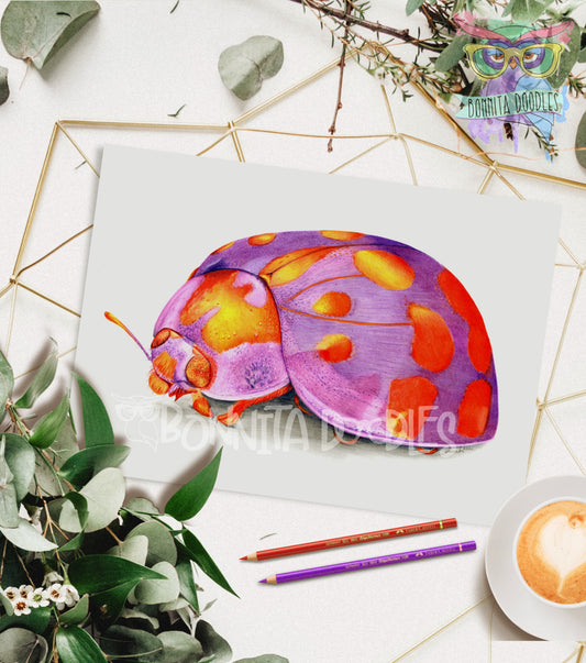 Amethyst - Ladybug - Original drawing