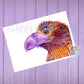 Amethyst - Stella Eagle - Original drawing
