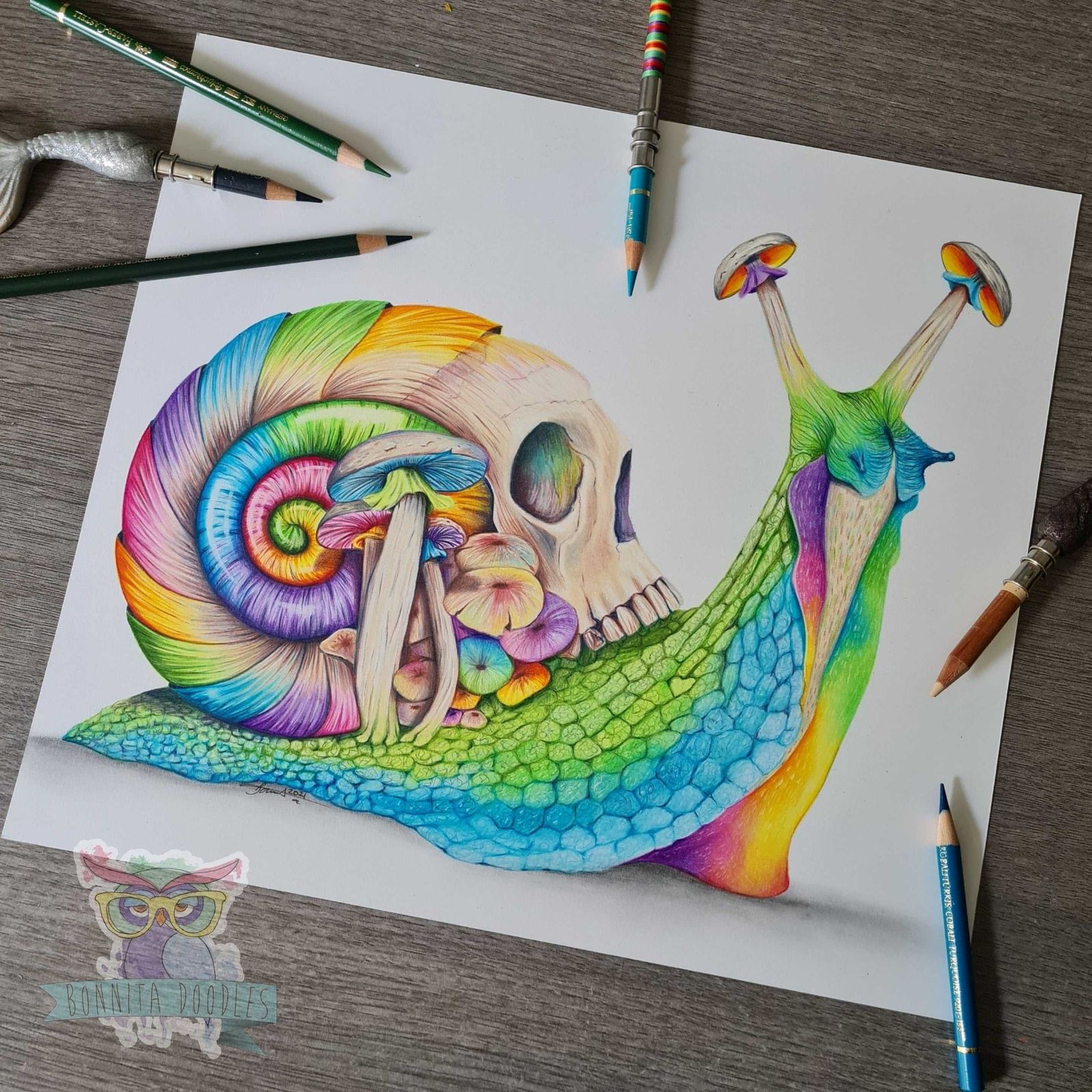 Rainbow Opal skull snail print - home art print