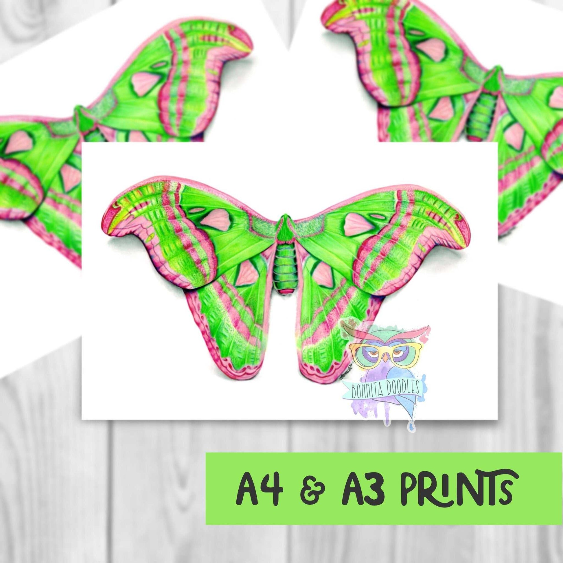 Atlas Moth - Peridot Series. Home decor art print