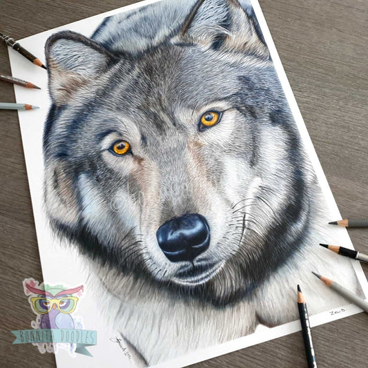 Wolf drawing Print