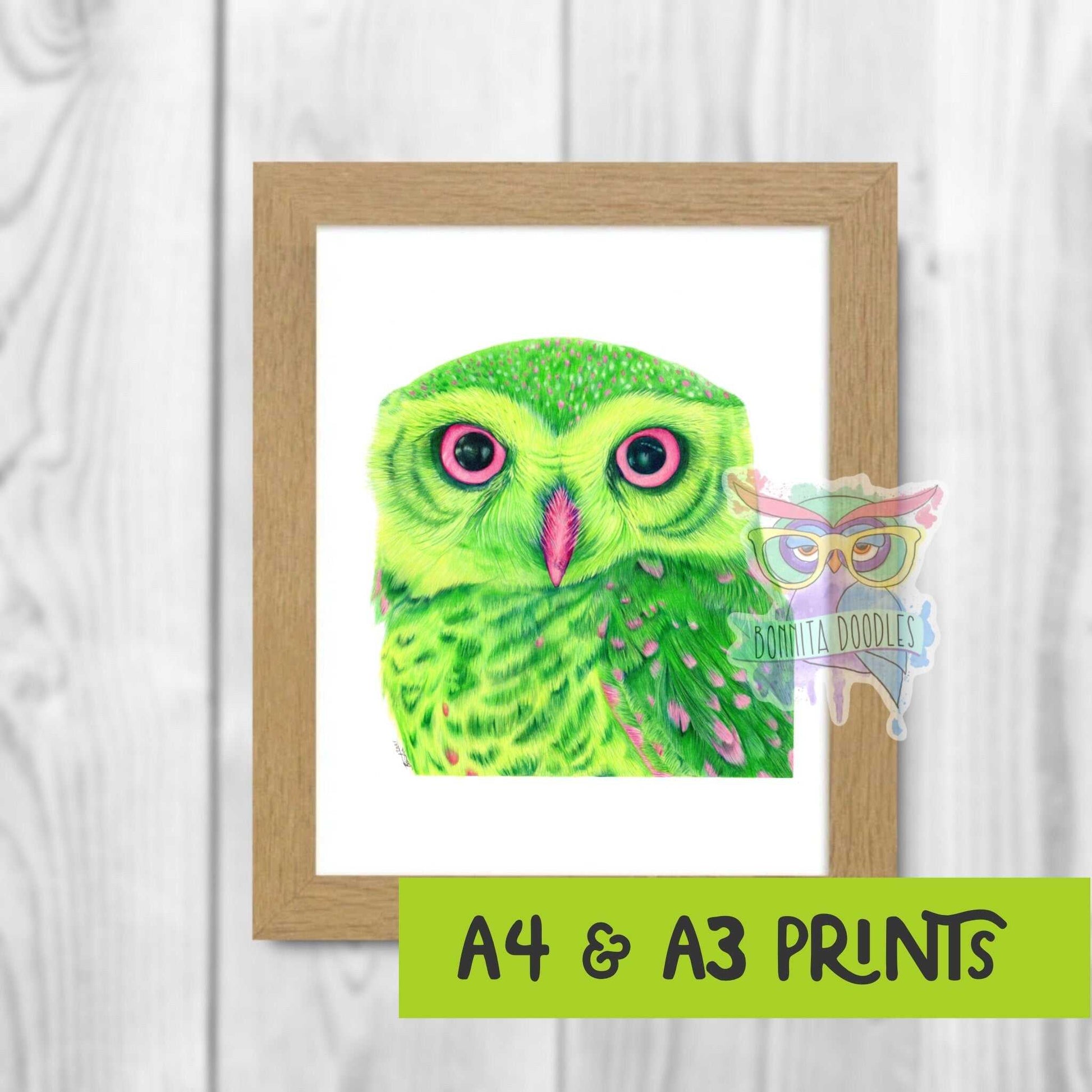 Little Owl - Peridot Series. Home art print