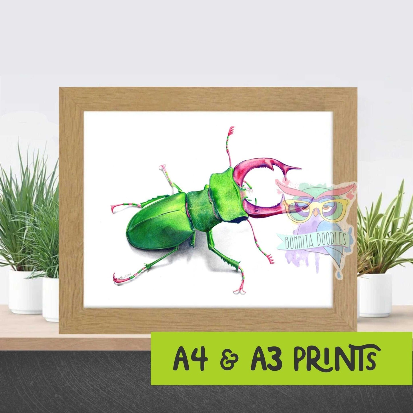 Stag beetle - Peridot Series. Home art print