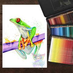Red eye Tree frog print - home art print