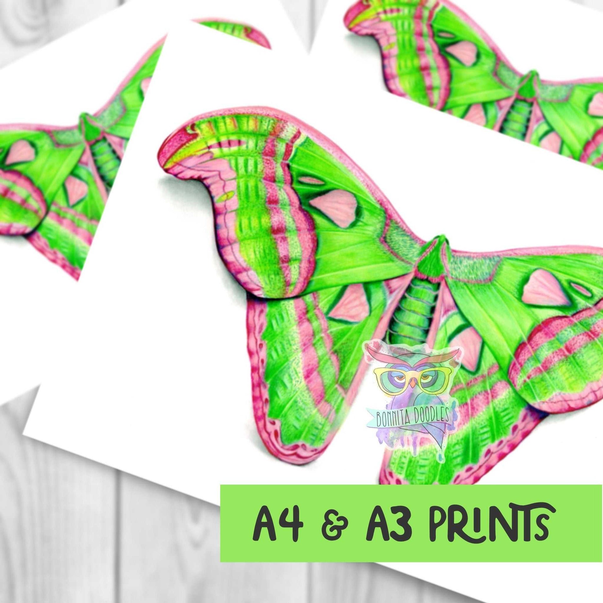 Atlas Moth - Peridot Series. Home decor art print