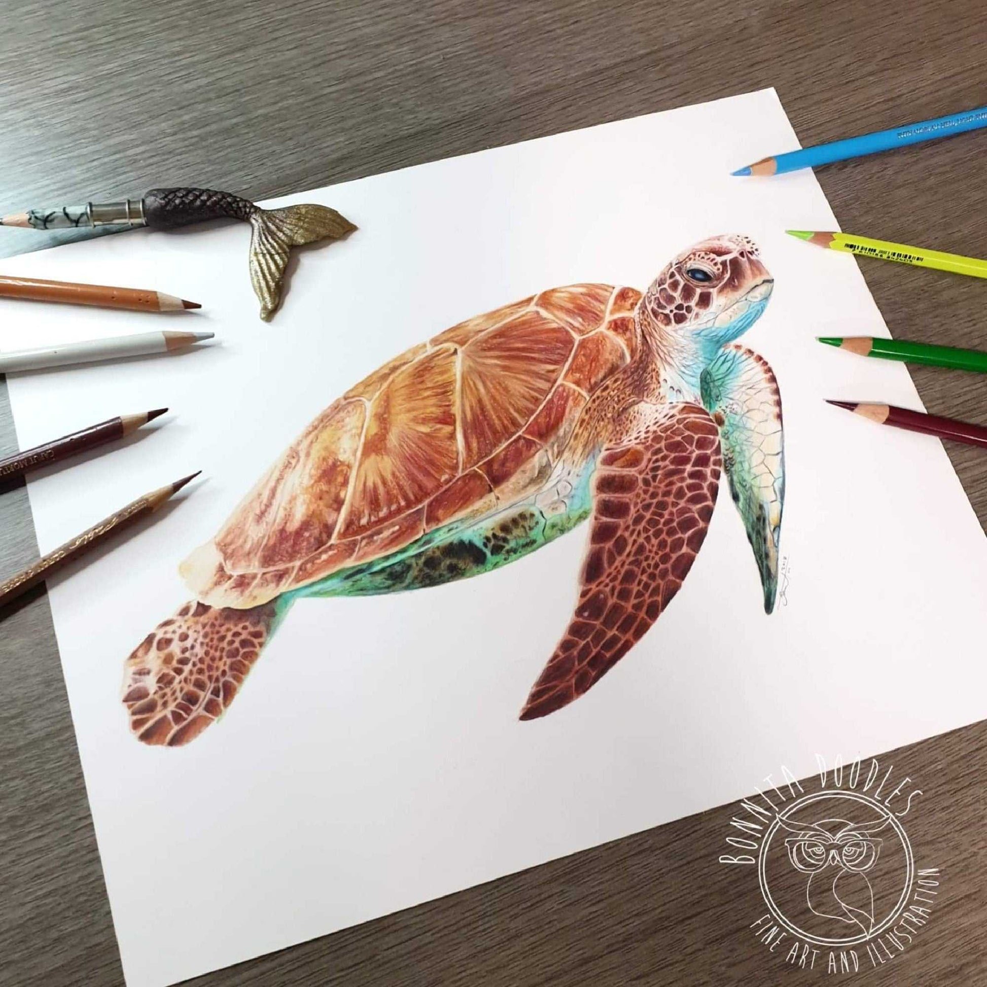 Sea turtle - Original drawing