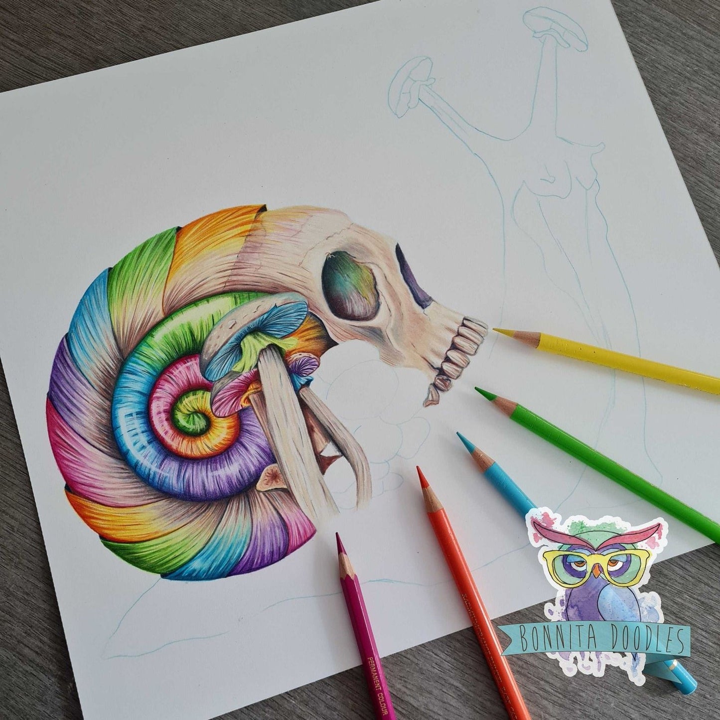 Rainbow Opal skull snail print - home art print