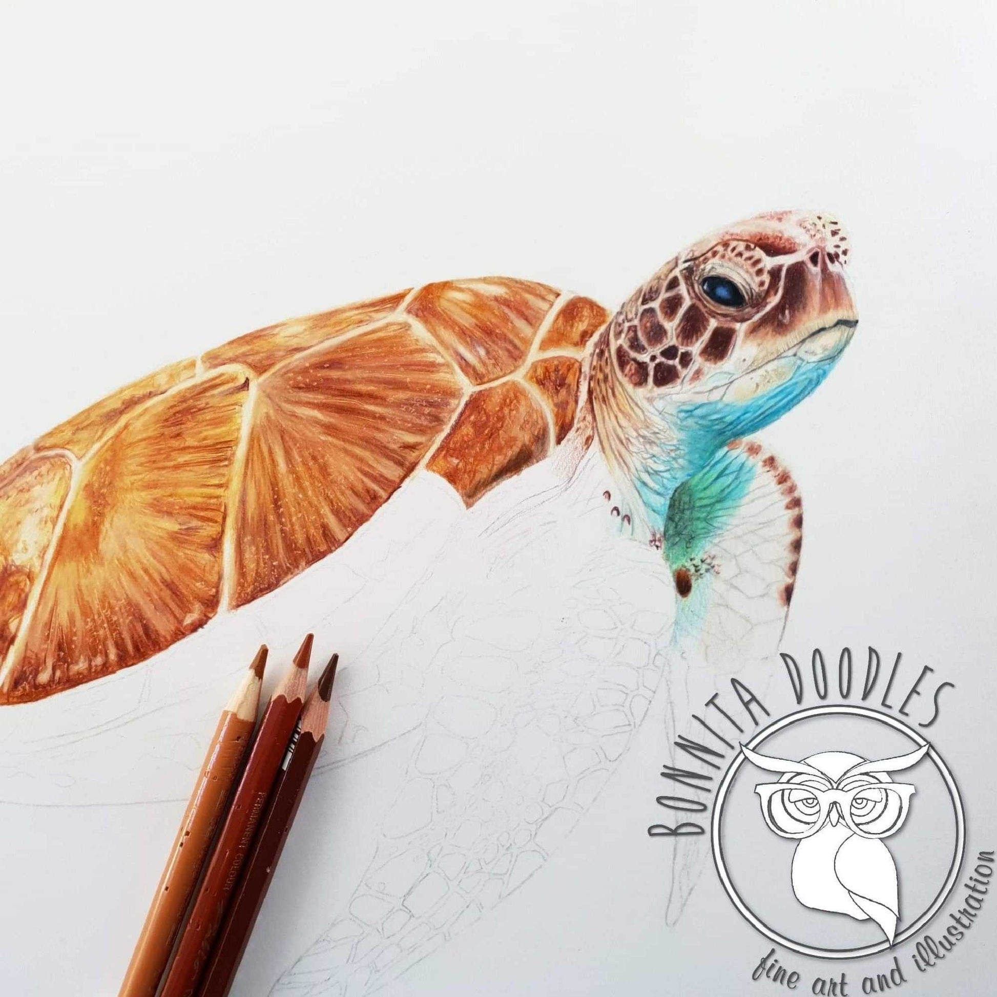 Sea turtle - Original drawing