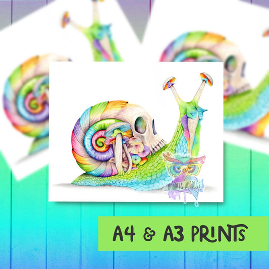Rainbow Opal skull snail print - home art print