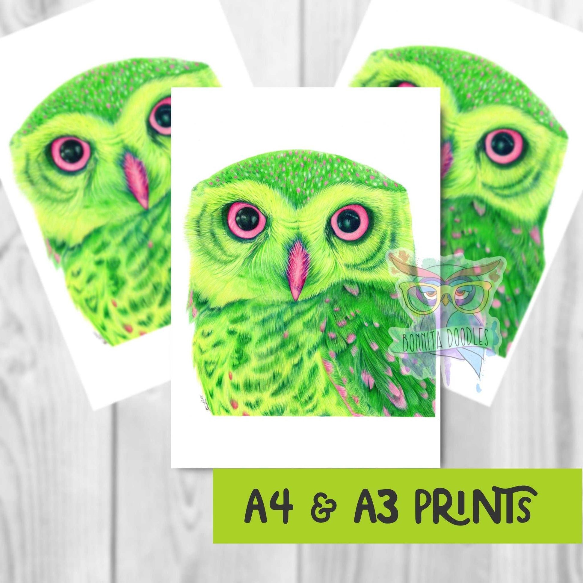 Little Owl - Peridot Series. Home art print