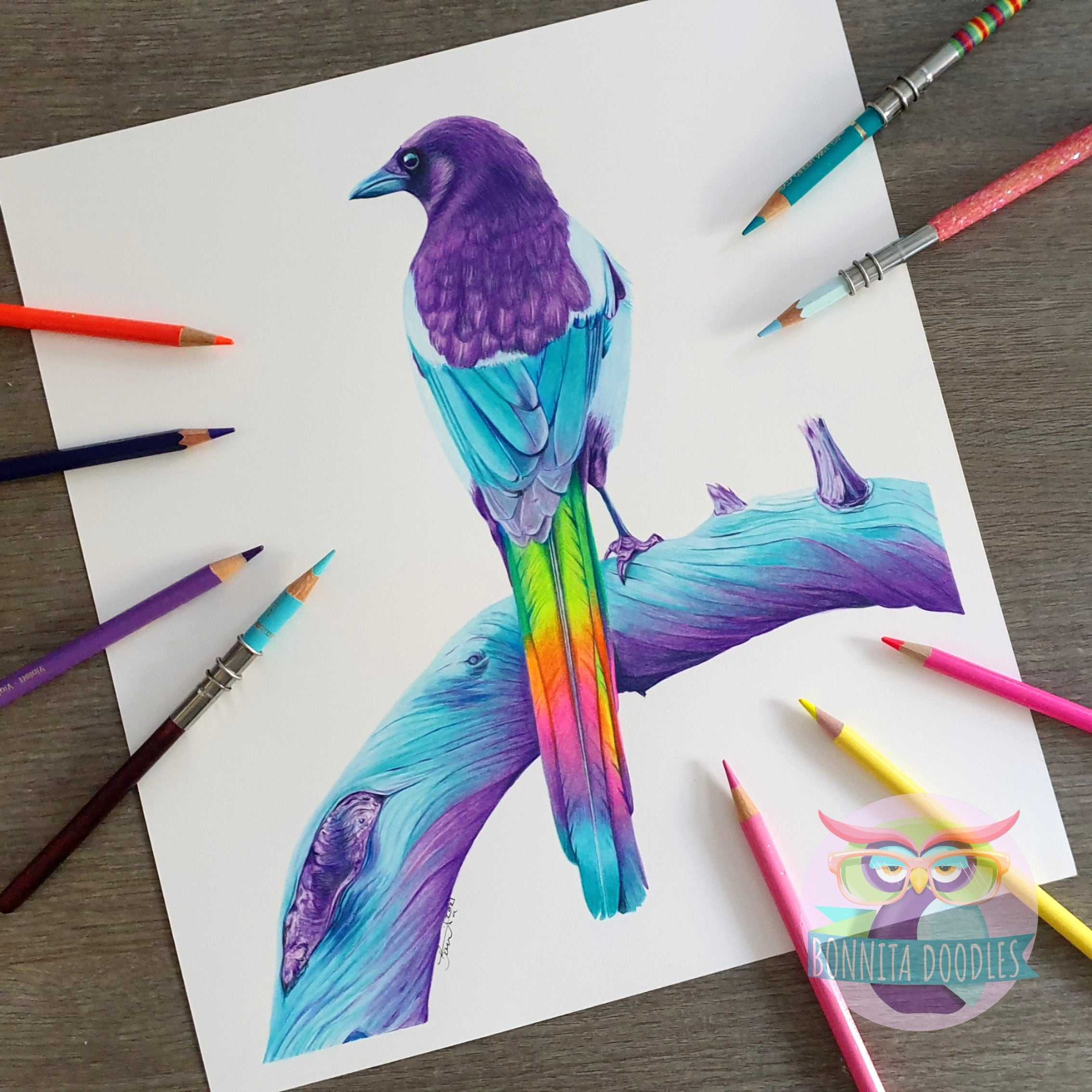 Magpie - Sapphire Series. Home art print