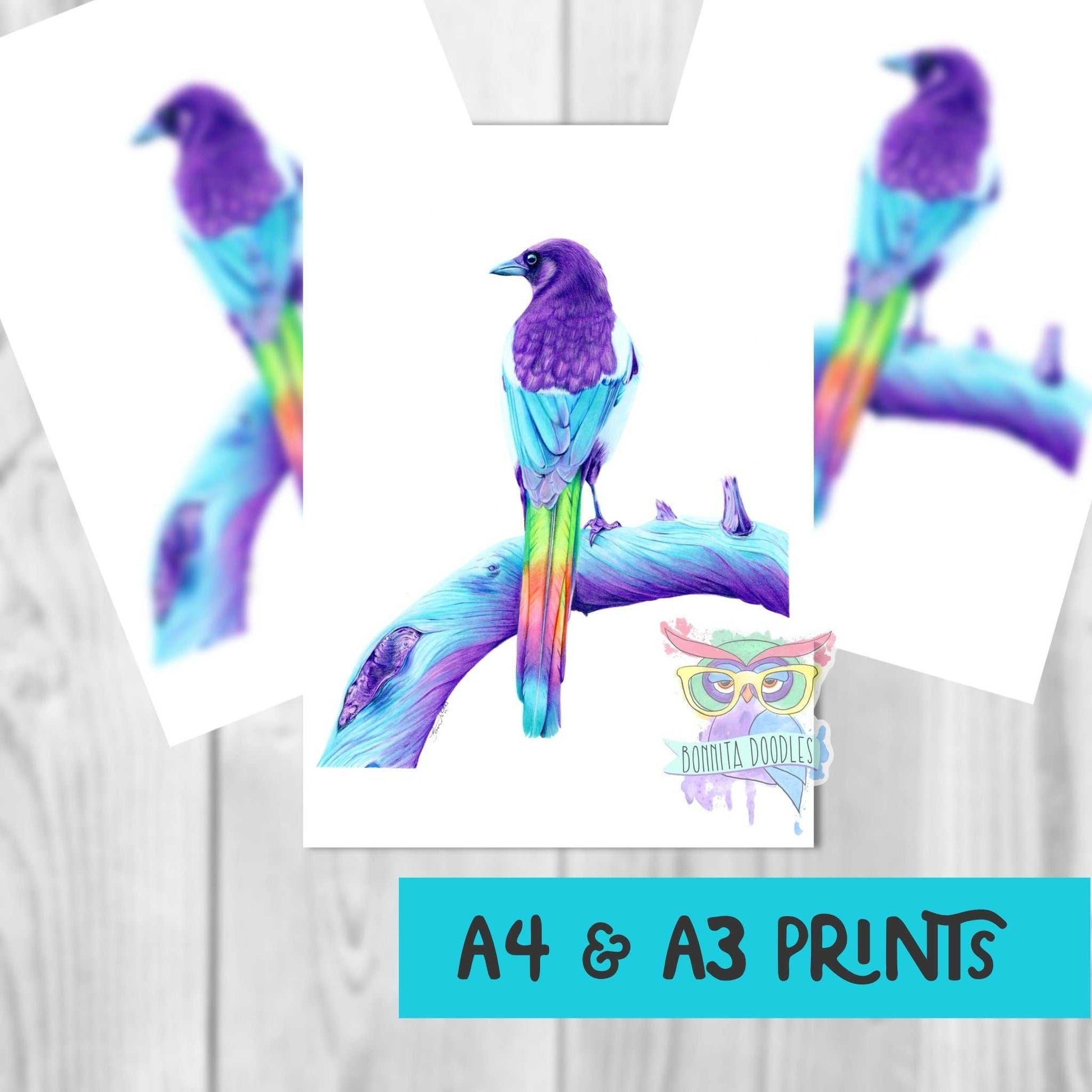 Magpie - Sapphire Series. Home art print