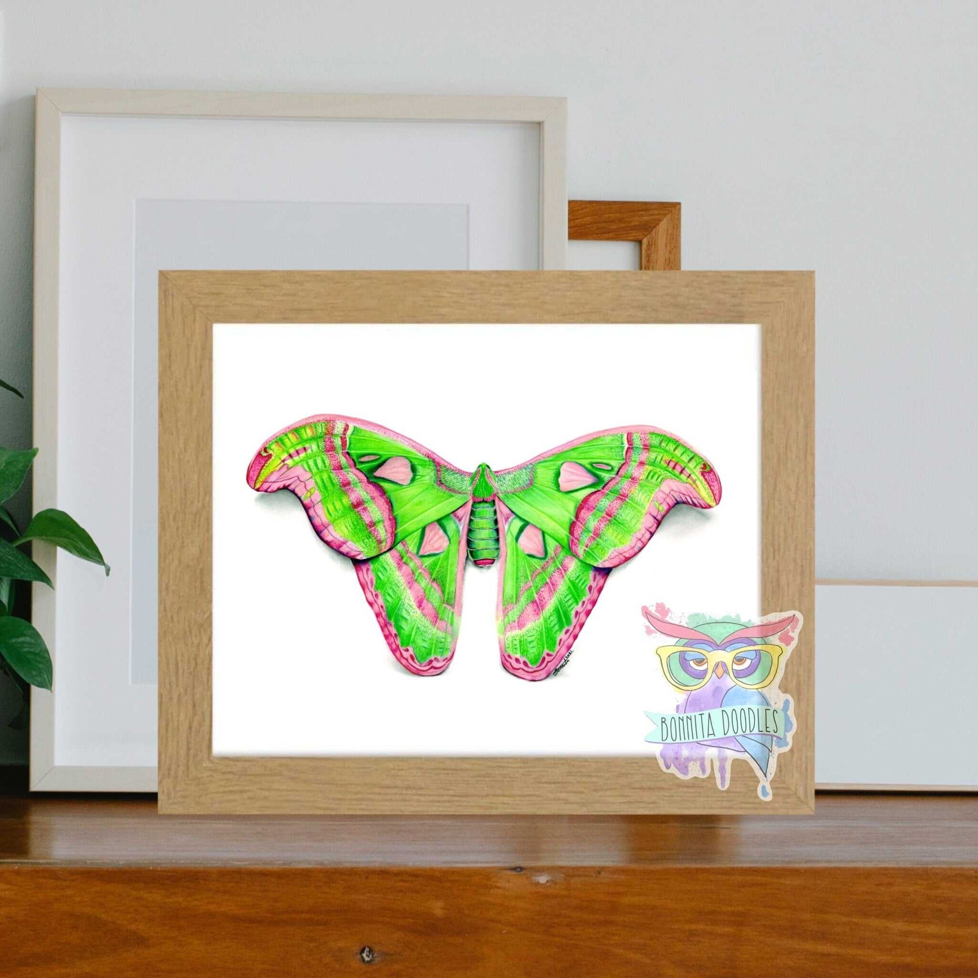Peridot Atlas Moth - Original drawing - Original art