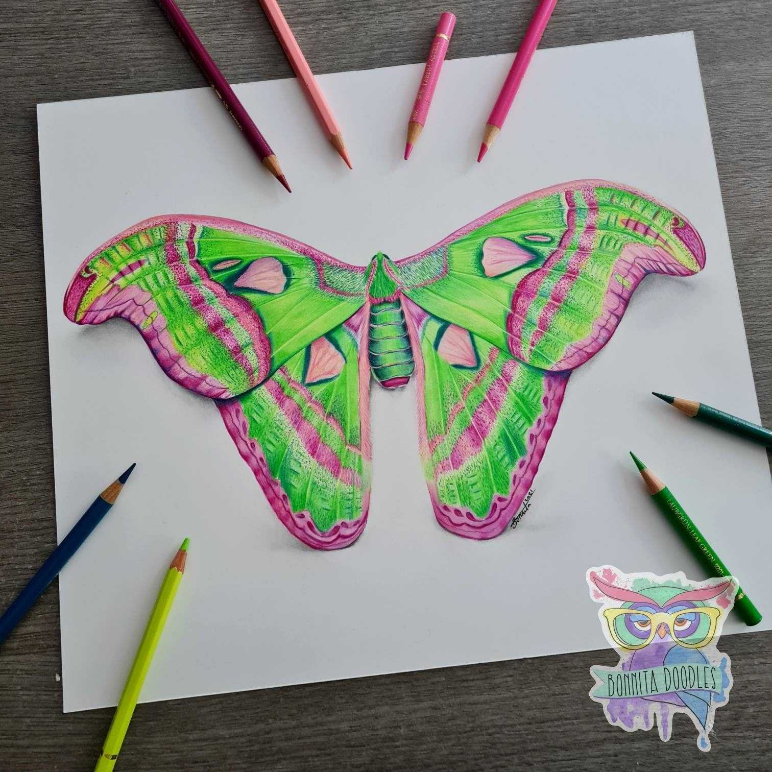 Atlas Moth - Peridot Series. Home decor art print