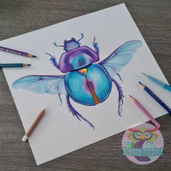 Scarab Beetle - Original drawing