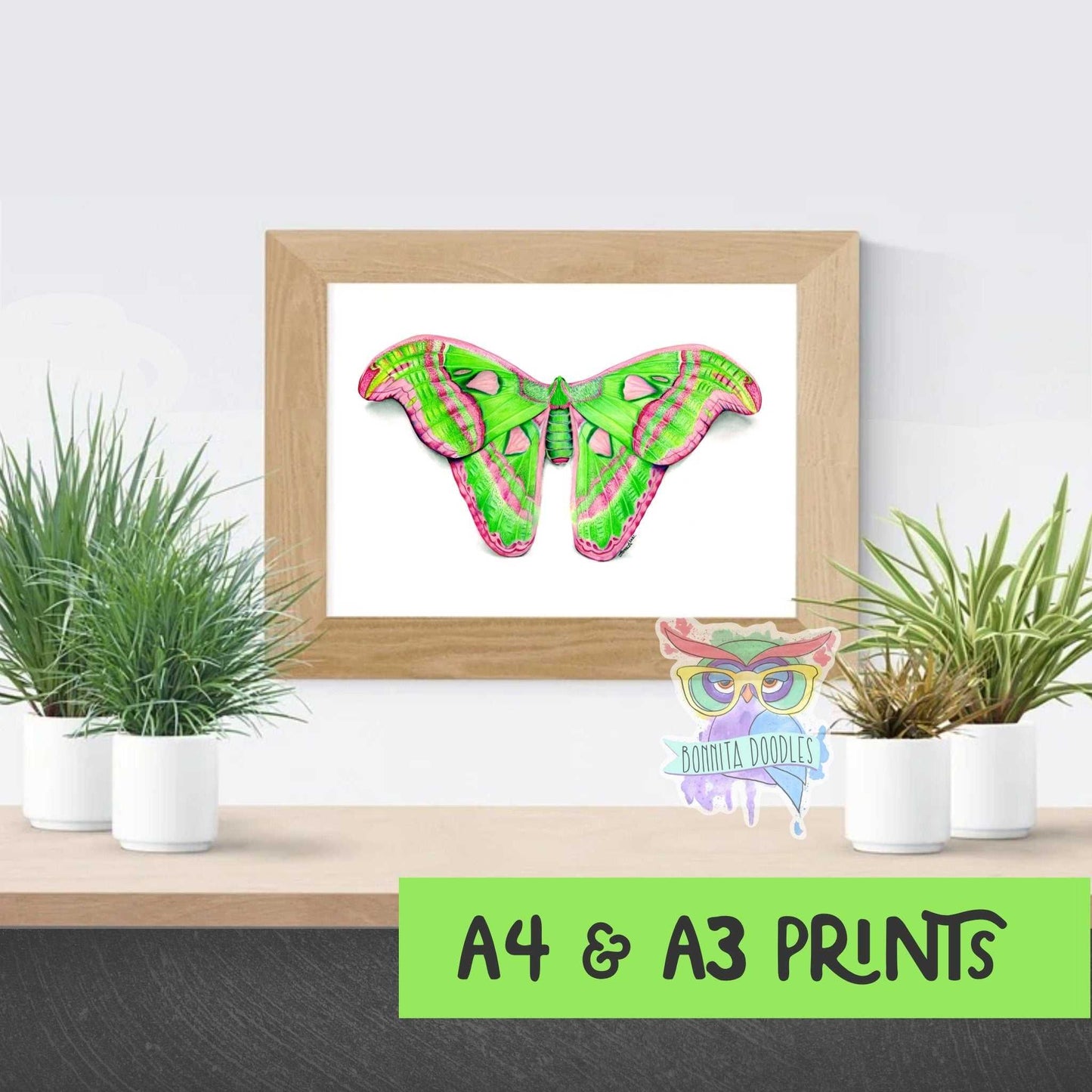 Atlas Moth - Peridot Series. Home decor art print